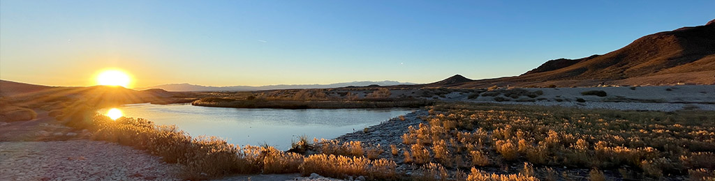 Beautiful scenic shot of Henderson wetlands.